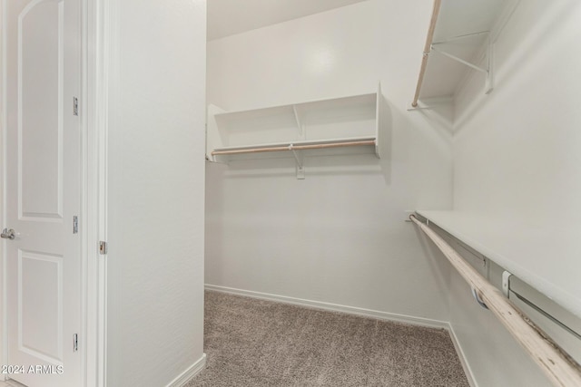 spacious closet with light carpet