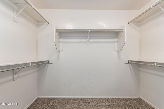 walk in closet featuring carpet flooring