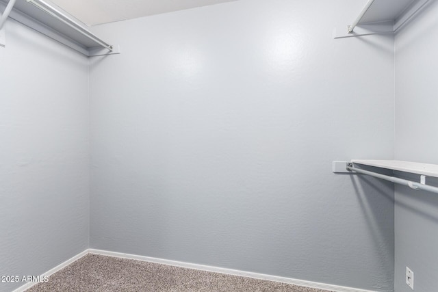 walk in closet featuring carpet flooring