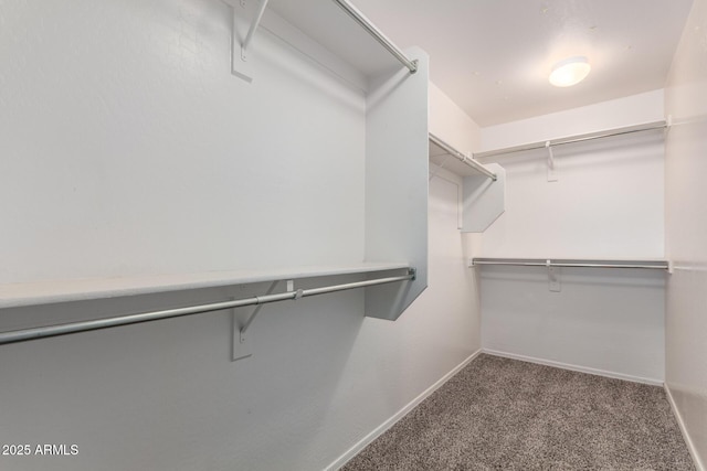spacious closet with carpet floors