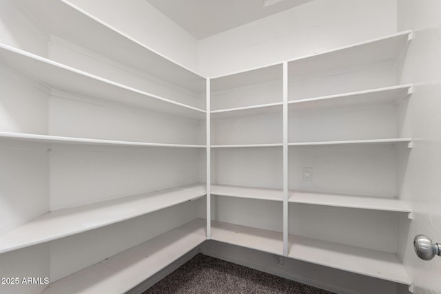 view of pantry
