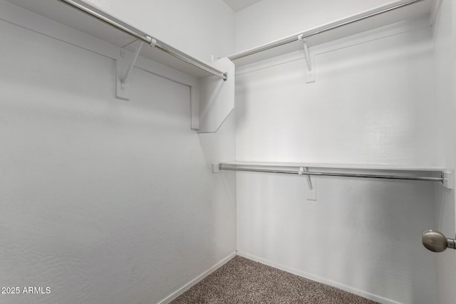 spacious closet with carpet flooring