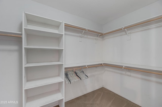 spacious closet with carpet flooring