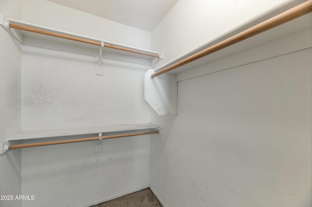 spacious closet with carpet