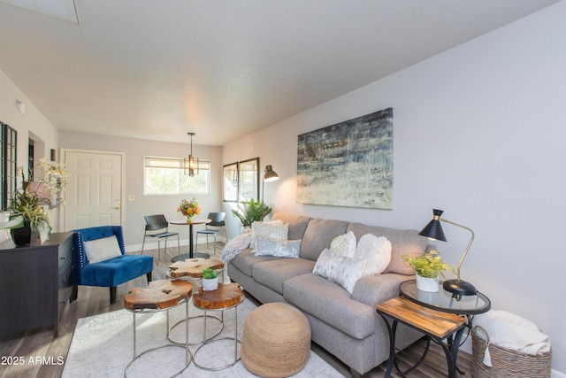 living room with wood-type flooring