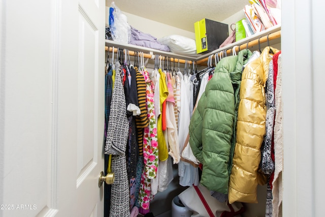 view of walk in closet