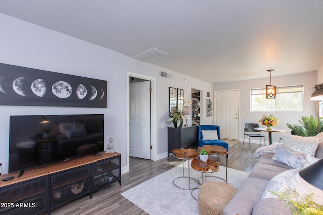 living room featuring wood-type flooring