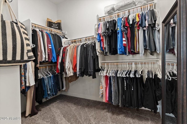 20715 E Watford Dr, Queen Creek, AZ 85142 - walk in closet with carpet