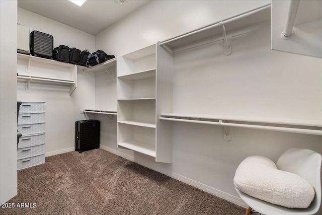 20715 E Watford Dr, Queen Creek, AZ 85142 - walk in closet featuring carpet