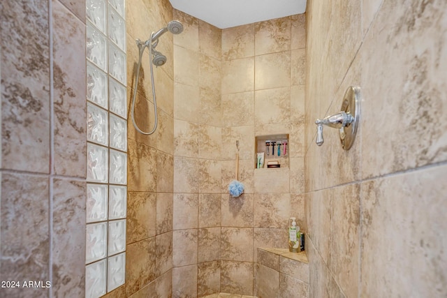 room details featuring tiled shower