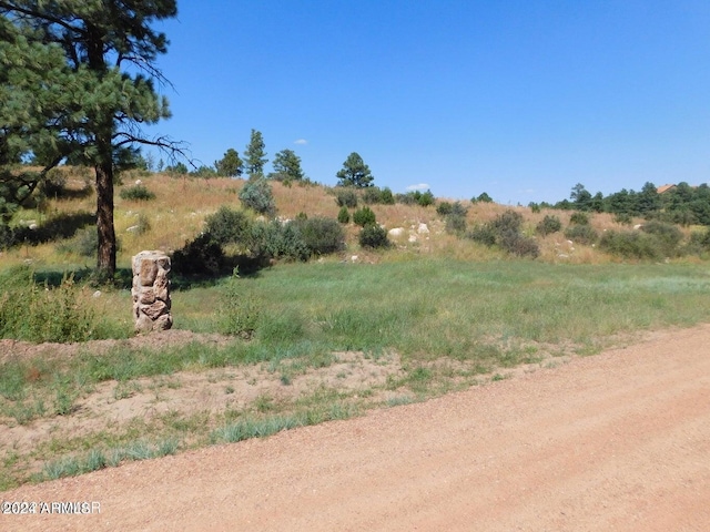 2806-2808 Pine Hill Drive 13&14, Overgaard AZ, 85933 land for sale