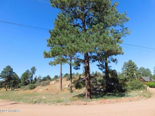 Listing photo 3 for 2806-2808 Pine Hill Drive 13&14, Overgaard AZ 85933