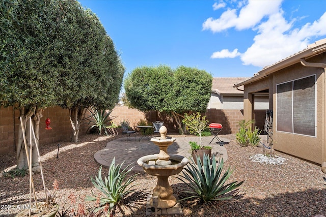 view of yard with a fenced backyard and a patio