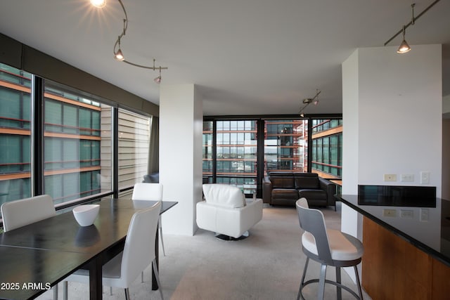 carpeted dining room featuring rail lighting and expansive windows