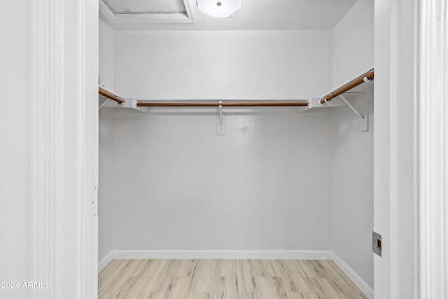 walk in closet featuring wood finished floors