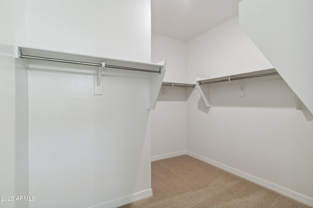 walk in closet with light carpet