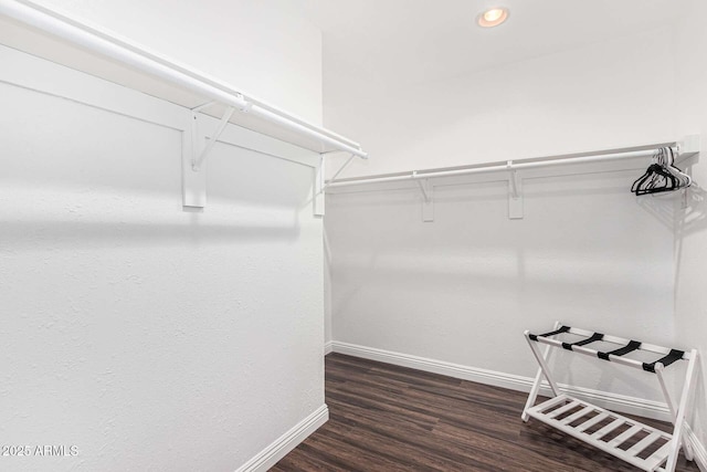 walk in closet featuring dark hardwood / wood-style flooring