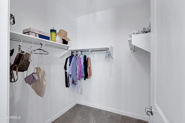 spacious closet with carpet flooring