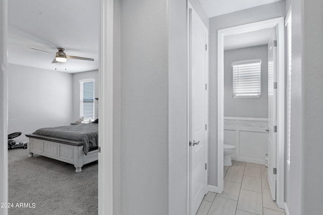 hallway with light carpet and a wealth of natural light