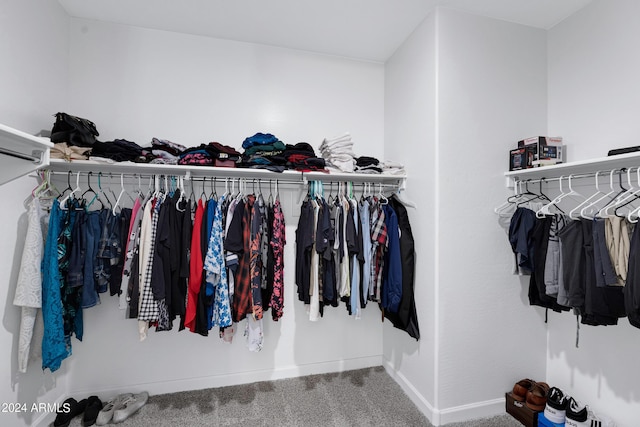 spacious closet featuring carpet