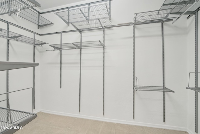 spacious closet featuring light colored carpet