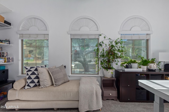 bedroom with light colored carpet and multiple windows