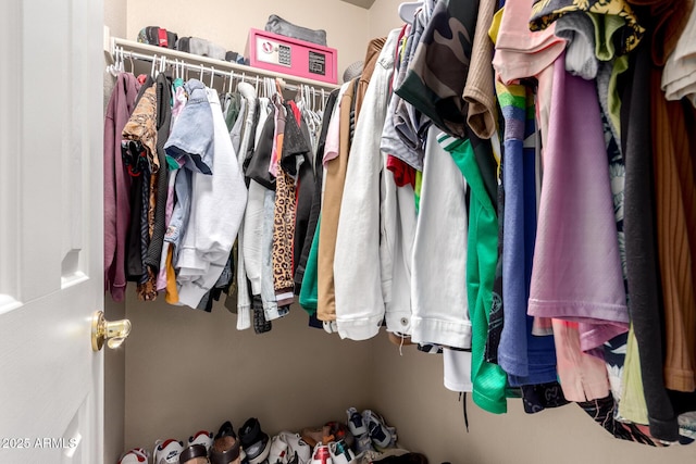 view of walk in closet