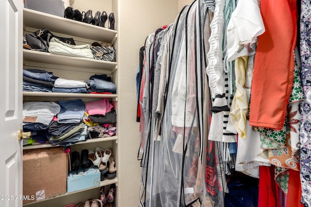 view of spacious closet