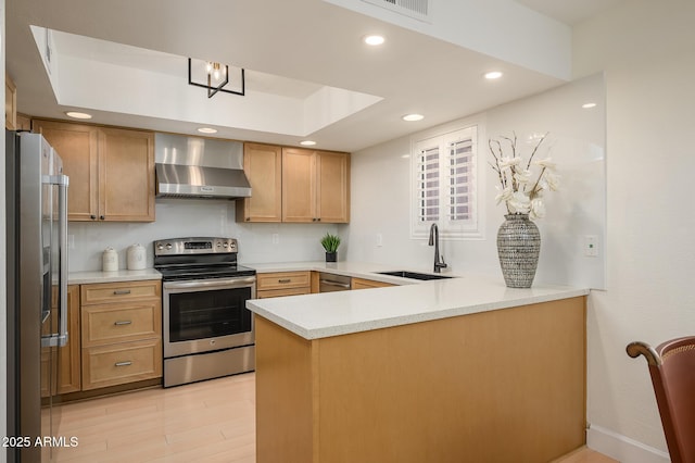 kitchen with sink, wall chimney range hood, light hardwood / wood-style flooring, appliances with stainless steel finishes, and kitchen peninsula