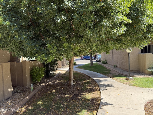 5525 E Thomas Rd Unit C2, Phoenix, AZ 85018 - view of yard