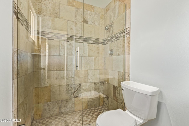 full bathroom with a shower stall and toilet