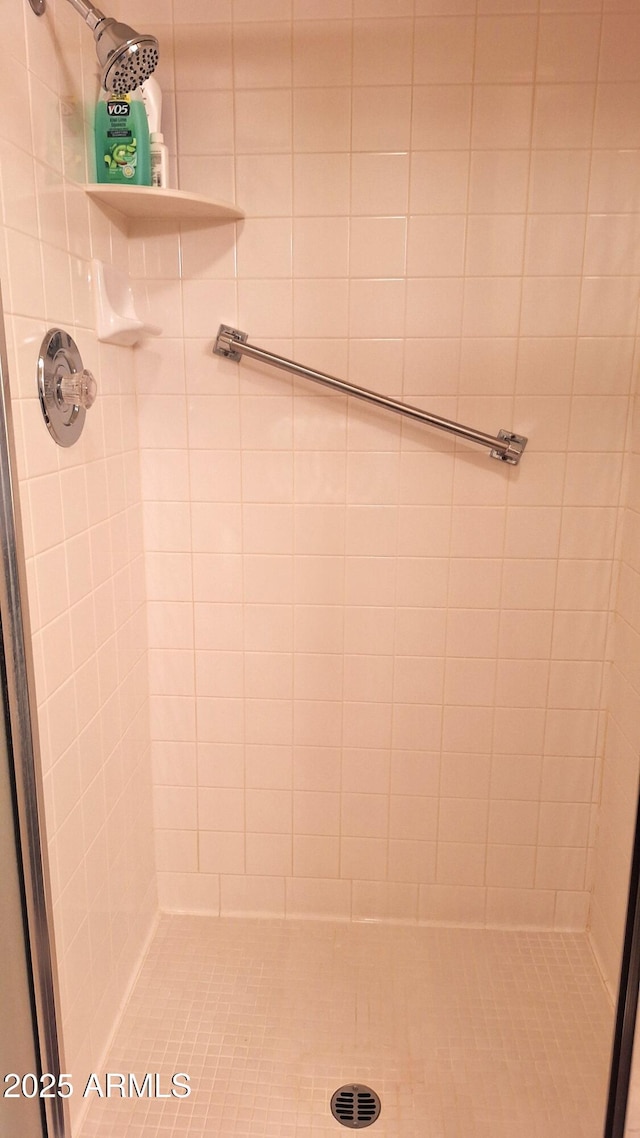 bathroom with a shower stall