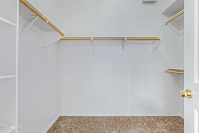 11413 S Coolwater Dr, Goodyear, AZ 85338 - spacious closet featuring carpet floors