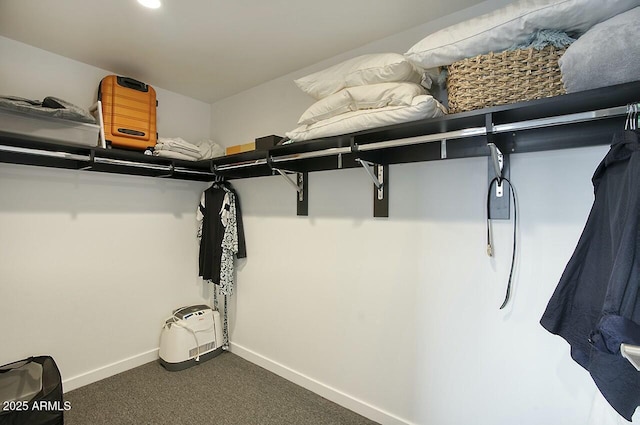 spacious closet featuring dark carpet