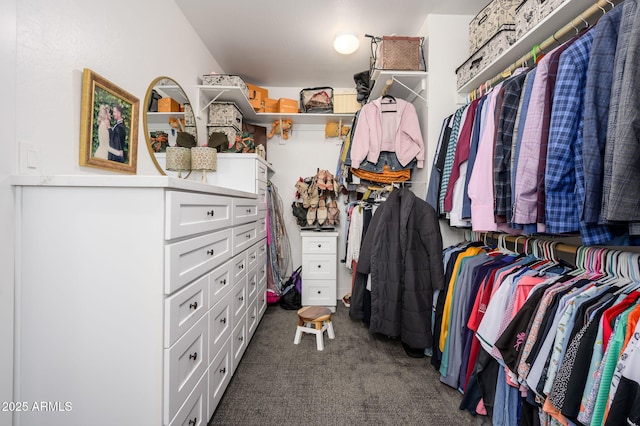 1221 E Paseo Way, Phoenix, AZ 85042 - walk in closet with dark carpet