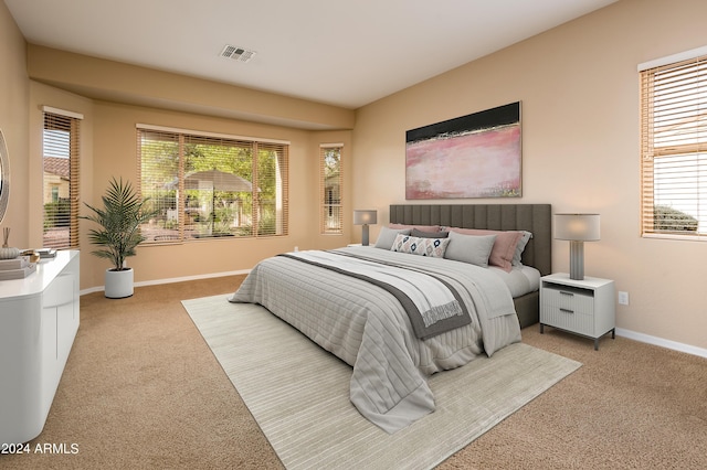 carpeted bedroom with multiple windows