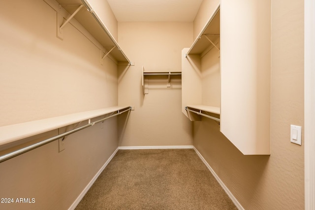 spacious closet with carpet