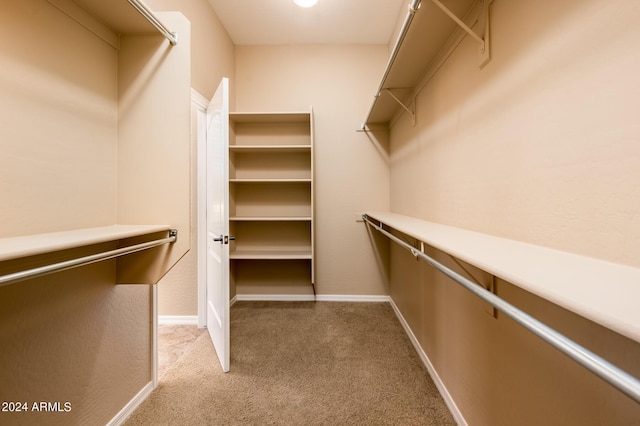 spacious closet with light colored carpet