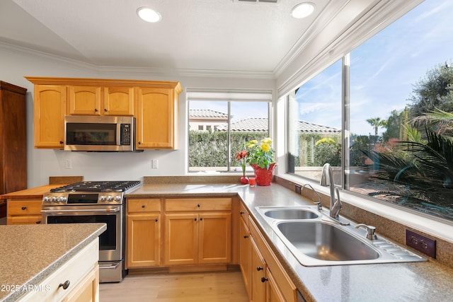 kitchen with sink, crown molding, stainless steel appliances, and light wood-type flooring