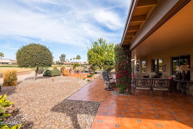 view of yard featuring a patio area