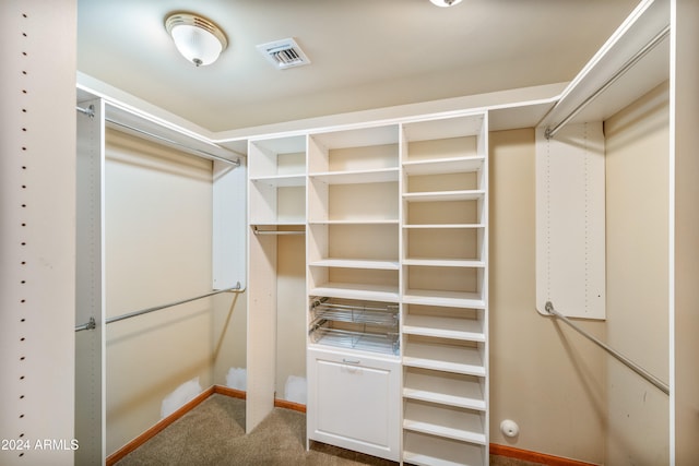 walk in closet featuring carpet floors