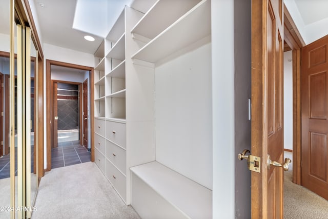 walk in closet with carpet floors