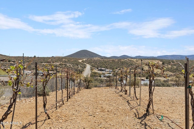 10975 E Janet Way, Dewey, AZ 86327 - view of mountain feature
