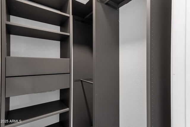 13636 N Hamilton Dr Unit 101, Fountain Hills, AZ 85268 - view of spacious closet