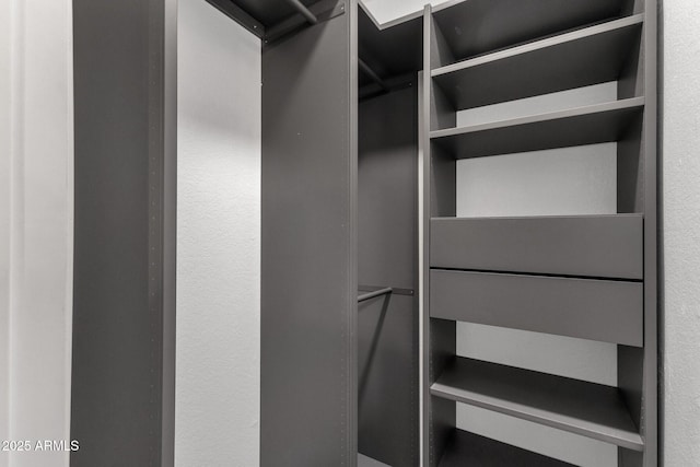 13636 N Hamilton Dr Unit 101, Fountain Hills, AZ 85268 - view of walk in closet