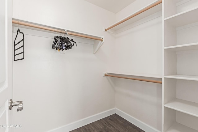 walk in closet featuring dark wood-style flooring