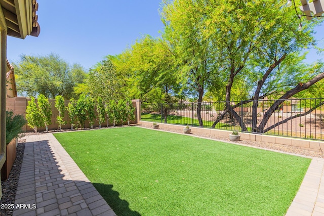 view of yard featuring a fenced backyard
