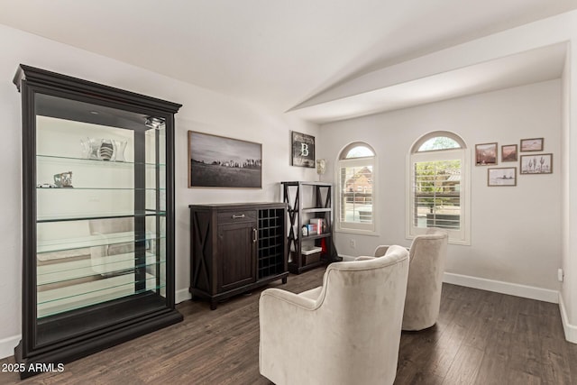 interior space with lofted ceiling, baseboards, and dark wood finished floors