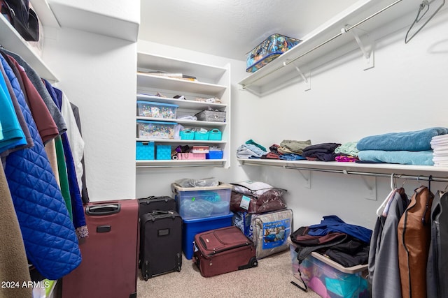 walk in closet featuring carpet floors