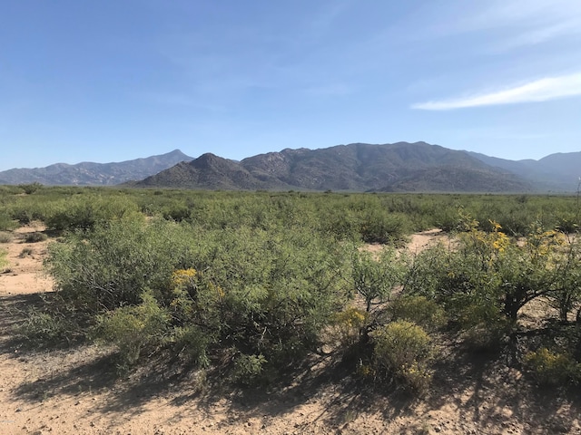 000 W Stuart Trl -, Unit Bowie AZ, 85605 land for sale